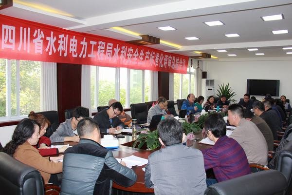 工程局水利安全標(biāo)準(zhǔn)化評(píng)審工作圓滿結(jié)束