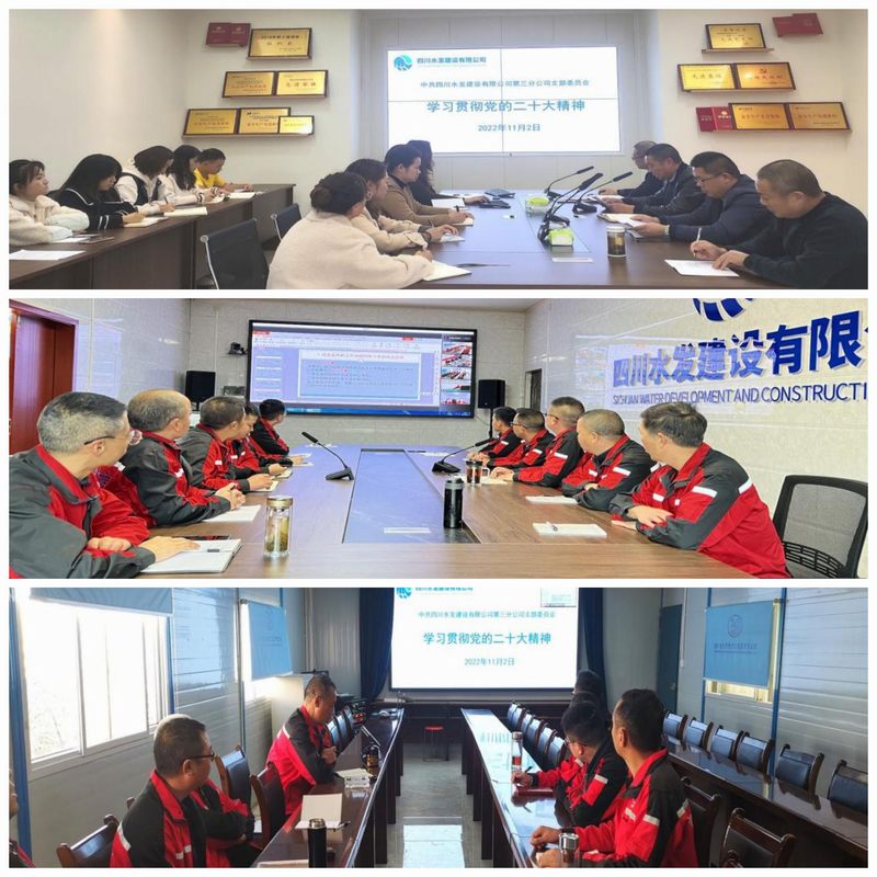 三分公司黨支部、龍?zhí)另椖坎奎h支部和亭子口項目部第二支部聯(lián)合組織召開傳達(dá)學(xué)習(xí)黨的二十大精神大會