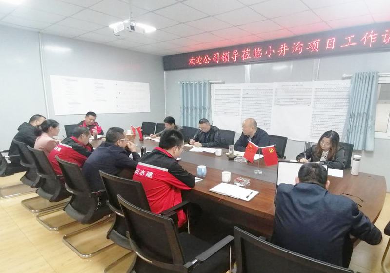 公司黨委書記、董事長(zhǎng)代勇一行到小井溝支渠工程項(xiàng)目開展工作調(diào)研